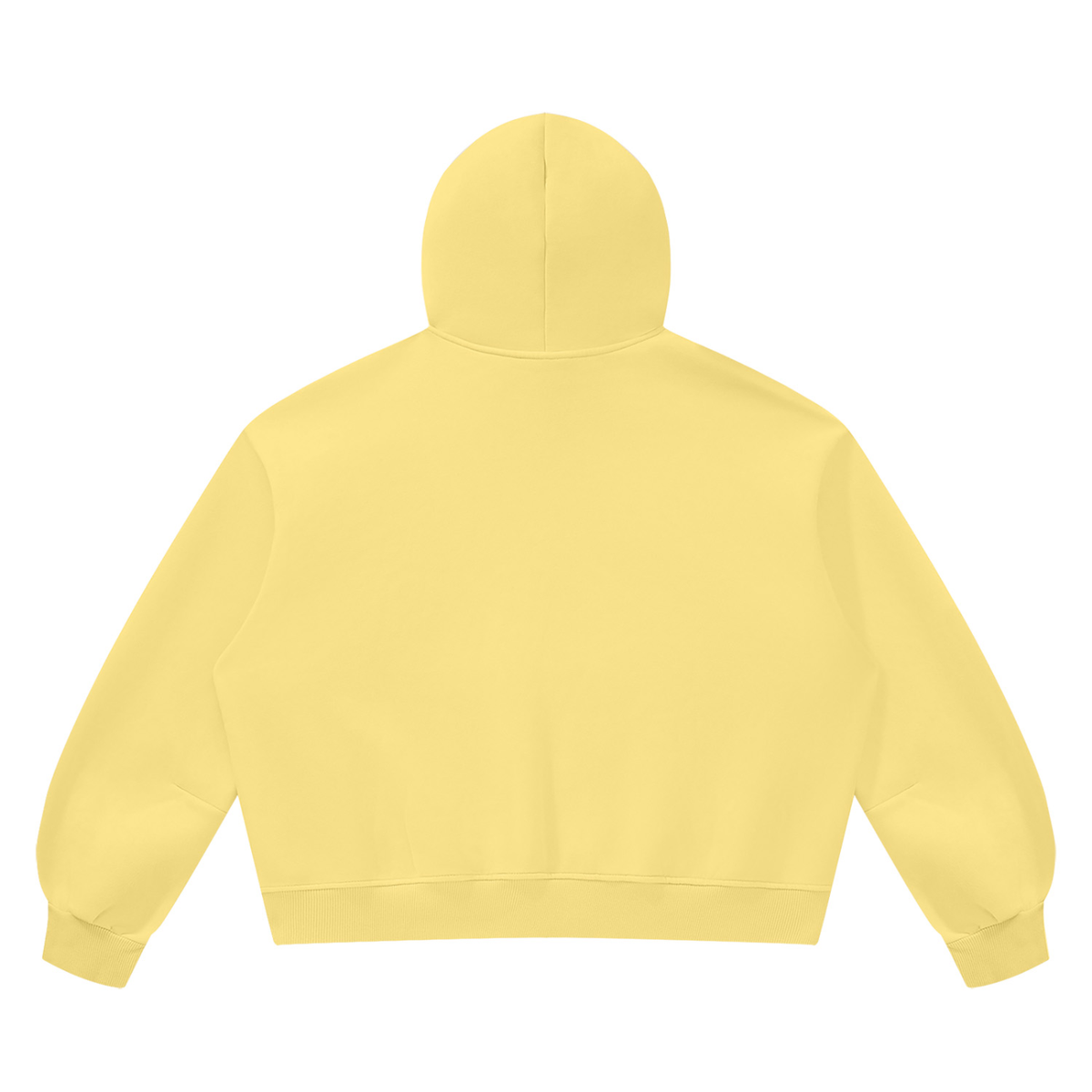 24six,hoodie